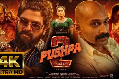 Pushpa 2 movie box office collection